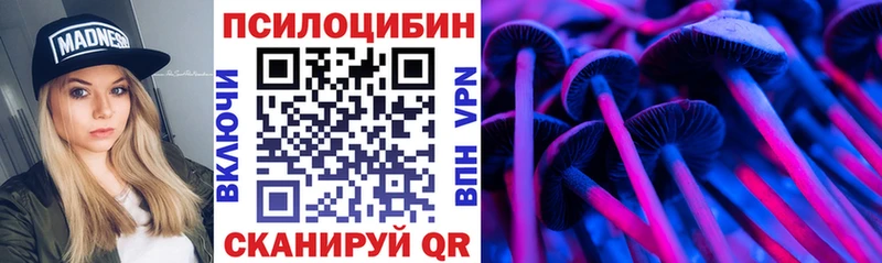 где найти   Северодвинск  Галлюциногенные грибы мицелий 